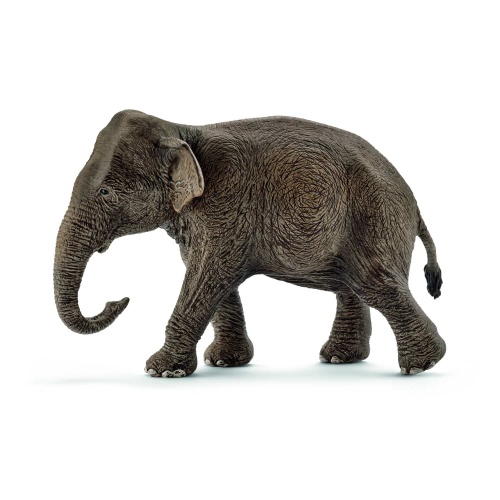 Schleich 14753 Wild Life Asiatische Elefantenkuh