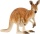 Schleich 14756 Wild Life Känguru