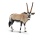 Schleich 14759 Wild Life Oryxantilope
