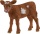 Schleich 13881 Farm World Texas Longhorn Kalb