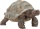 Schleich 14824 Wild Life Riesenschildkröte