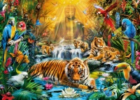 Clementoni 39380 Geheimnisvolle Tiger 1000 Teile Puzzle High Quality Collection