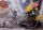 Educa 17988 Fahrrad mit Blumen 500 Teile Puzzle