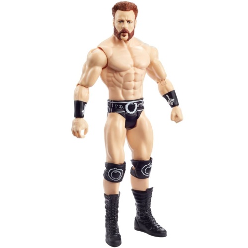 Mattel GTG17 WWE Action Figur (15 cm) Sheamus