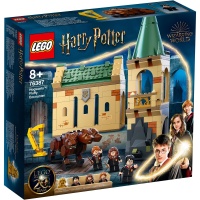 LEGO&reg; 76387 Harry Potter Begegnung mit Fluffy