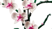 LEGO&reg; 10311 Icons Orchidee