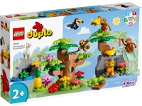 LEGO&reg; 10973 DUPLO&reg; Wilde Tiere S&uuml;damerikas