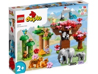 LEGO® 10974 DUPLO® Wilde Tiere Asiens