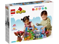 LEGO&reg; 10974 DUPLO&reg; Wilde Tiere Asiens