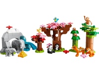 LEGO&reg; 10974 DUPLO&reg; Wilde Tiere Asiens