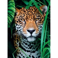 Clementoni 35127 Jaguar im Dschungel 500 Teile Puzzle