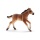 Schleich 13807 Horse Club Mustang Fohlen