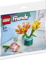 LEGO 30634 Friends Freundschaftsblumen Polybag
